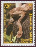 Colnect-900-278-Pacific-Boa-Enygrus-bibroni.jpg