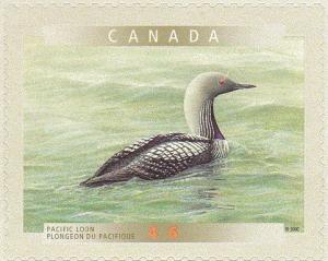 Colnect-777-985-Pacific-Loon-Gavia-pacifica.jpg