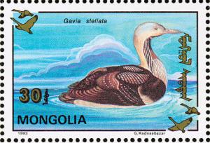 Colnect-860-498-Pacific-Loon-Gavia-pacifica.jpg