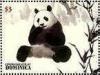 Colnect-3206-707-Giant-Panda-Ailuropoda-melanoleuca.jpg