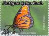 Colnect-4737-385-Danaus-gilippus.jpg