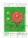 Colnect-4823-877-Red-decorative-dahlias-Dahlia-variabilis-Desf.jpg