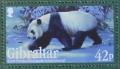 Colnect-1941-965-Giant-Panda-Ailuropoda-melanoleuca.jpg