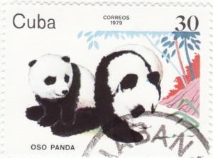 Colnect-1087-550-Giant-Panda-Ailuropoda-melanoleuca.jpg