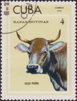 Colnect-1948-399-Suiza-Parda-Bos-primigenius-taurus.jpg