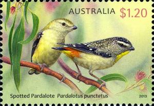 Colnect-2074-503-Spotted-Pardalote-Pardalotus-Punctatus.jpg