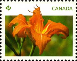 Colnect-2415-764-Daylilies-orange.jpg