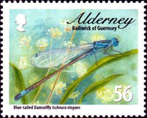 Colnect-5455-911-Blue-tailed-Damselfly-Ischnura-elegans-.jpg