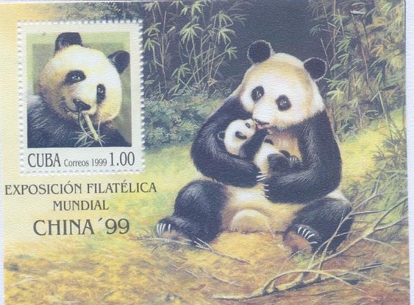 Colnect-2520-010-Giant-Panda-Ailuropoda-melanoleuca.jpg