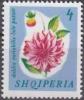 Colnect-723-131-Garden-Dahlia-Dahlia-pinnata.jpg