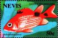 Colnect-4411-367-Saddle-squirrelfish.jpg