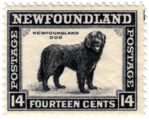 Newfoundlanddogstamp.jpg