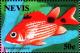 Colnect-4411-367-Saddle-squirrelfish.jpg