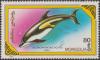 Colnect-1485-846-Atlantic-white-sided-Dolphin-Lagenorhynchus-acutus.jpg