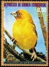 Colnect-1516-778-Holubs-s-Golden-Weaver-Textor-xanthops-.jpg