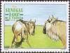 Colnect-2700-418-Black-Wildebeest-Connochaetes-gnou.jpg