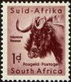 Colnect-4012-280-Black-Wildebeest-Connochaetes-gnou.jpg