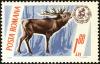 Colnect-5046-491-Red-Deer-Cervus-elaphus.jpg