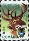 Colnect-5647-207-Red-Deer-Cervus-elaphus.jpg