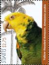 Colnect-6310-655-Yellow-headed-Amazon-Amazona-oratrix.jpg