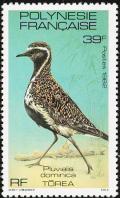 Colnect-1507-134-Pacific-Golden-Plover-Pluvialis-fulva.jpg