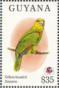 Colnect-1664-220-Yellow-headed-Amazon-Amazona-oratrix.jpg