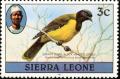 Colnect-2911-054-Western-Black-headed-Oriole-Oriolus-brachyrynchus.jpg