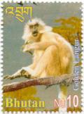 Colnect-3046-952-Gee--s-Golden-Langur-Presbytis-geei.jpg