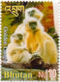 Colnect-3046-955-Gee--s-Golden-Langur-Presbytis-geei.jpg