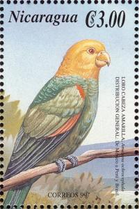 Colnect-3803-030-Yellow-headed-Amazon-Amazona-oratrix.jpg