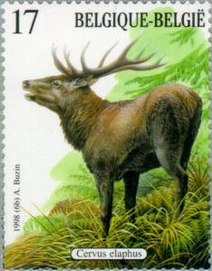 Colnect-187-327-Red-Deer-Cervus-elaphus.jpg