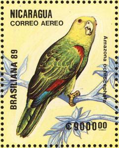 Colnect-1626-013-Yellow-headed-Amazon-Amazona-oratrix.jpg