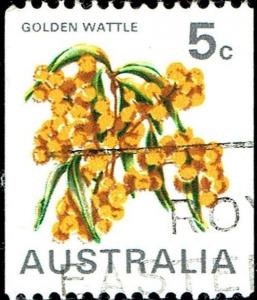 Colnect-5319-570-Australian-Golden-Wattle---Acacia-pycnantha.jpg