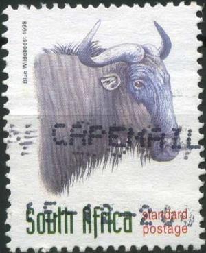 Blue-wildebeest.jpg