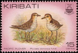 Colnect-1095-834-Pacific-Golden-Plover-Pluvialis-fulva.jpg