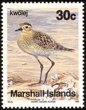 Colnect-1599-515-Pacific-Golden-Plover-Pluvialis-fulva.jpg