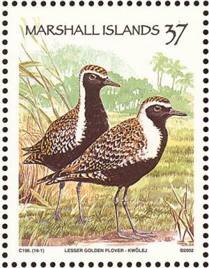 Colnect-1599-553-Pacific-Golden-Plover-Pluvialis-fulva.jpg