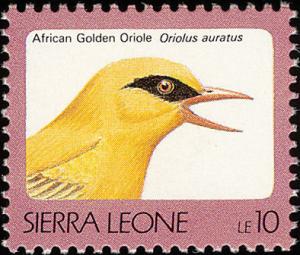 Colnect-1617-990-African-Golden-Oriole-Oriolus-auratus.jpg