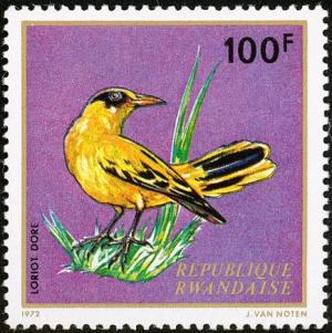 Colnect-1780-790-African-Golden-Oriole-Oriolus-auratus.jpg