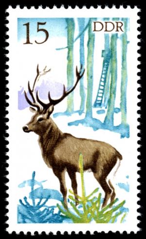 Colnect-1980-140-Red-Deer-Cervus-elaphus.jpg