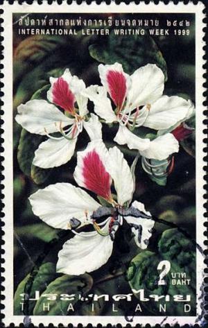 Colnect-2341-660-Intl-Correspondence-Week--Bauhinia-variegata.jpg