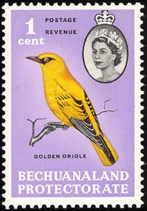 Colnect-2847-817-African-Golden-Oriole-Oriolus-auratus-.jpg