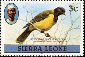 Colnect-2911-054-Western-Black-headed-Oriole-Oriolus-brachyrynchus.jpg