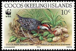 Colnect-3090-542-Cocos-Keeling-Buff-banded-Rail-Rallus-philippensis-andrewsi.jpg