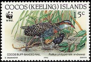 Colnect-3090-543-Cocos-Keeling-Buff-banded-Rail-Rallus-philippensis-andrewsi.jpg