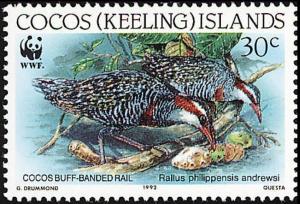 Colnect-3090-544-Cocos-Keeling-Buff-banded-Rail-Rallus-philippensis-andrewsi.jpg