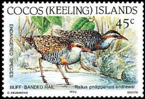 Colnect-3090-546-Cocos-Keeling-Buff-banded-Rail-Rallus-philippensis-andrewsi.jpg