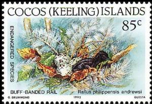 Colnect-3090-547-Cocos-Keeling-Buff-banded-Rail-Rallus-philippensis-andrewsi.jpg