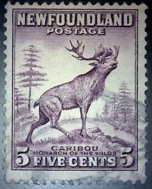 Colnect-3490-462-Red-Deer-Cervus-elaphus.jpg