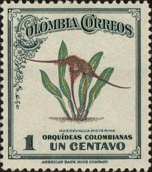 Colnect-4402-592-Masdevallia-nicterina.jpg